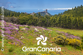 Gran Canaria – viel zu erleben